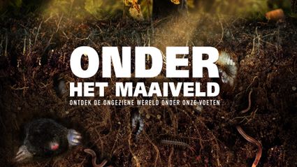 Onder de grond, mol en worm in de aarde