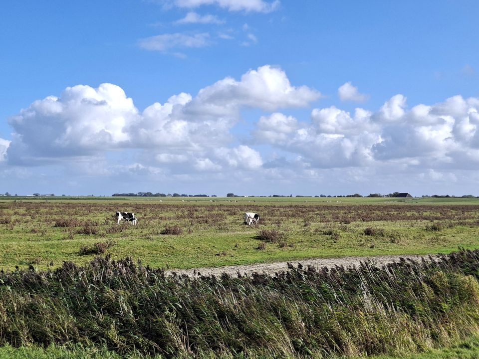 Wandelroute Noarderleech