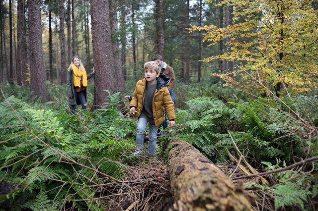 Een jongen stapt over takken in het bos terwijl zijn ouders op de achtergrond toekijken.