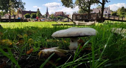 Erop uit in herfstvakantie