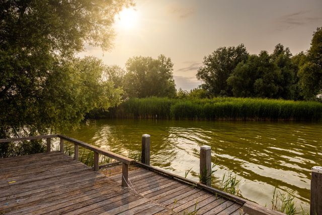 Een stijger aan de Binnenschelde in Bergen op Zoom met riet op de achtergrond, de zon gaat onder.