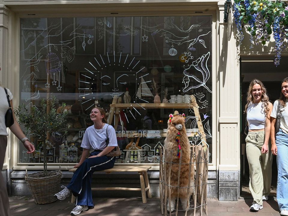 Etalage van DROOM conceptstore in Delft