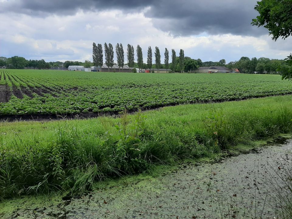De Eerste Wijk Veenhuizen