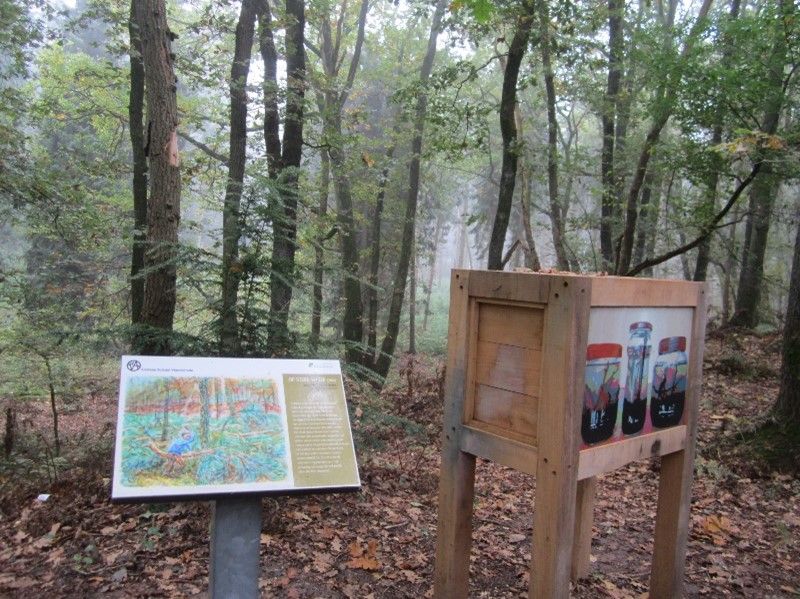 Kunstwerk op sterk water