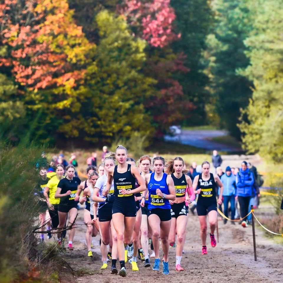 OER cross Havelterberg