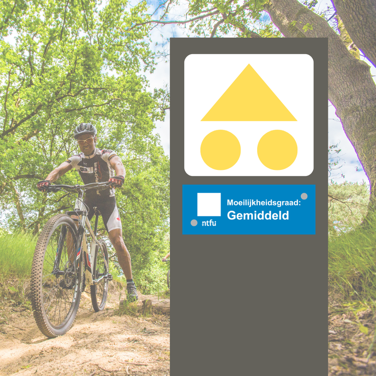 Volg de gele bewegwijzering van de driehoek met twee rondjes. De bordjes vind je op palen langs de route.