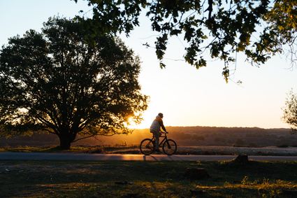 Een fietser bij zonsondergang in een mooi landschap