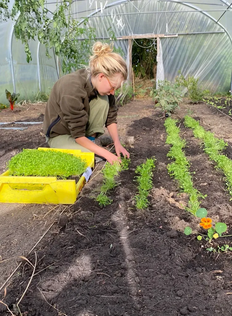 de tuinder van de pallande