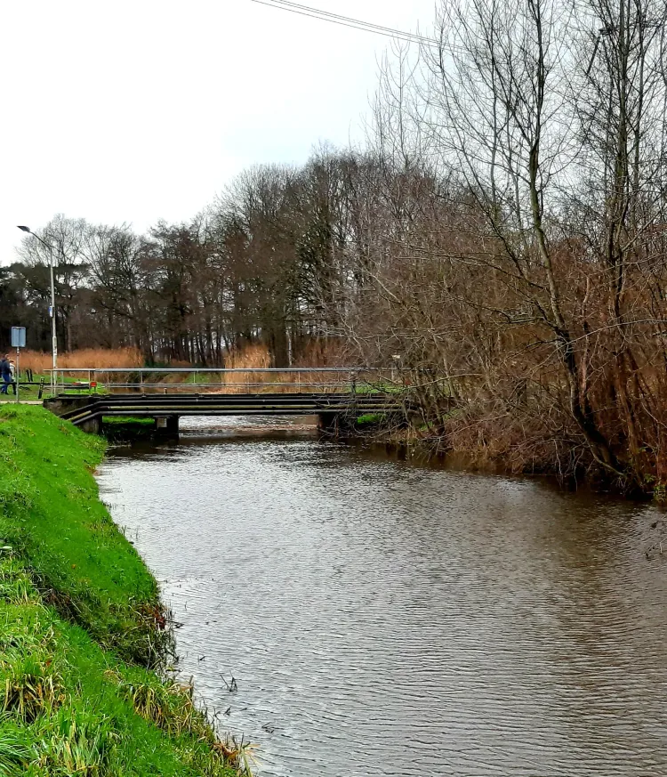 de viermennekesbrug