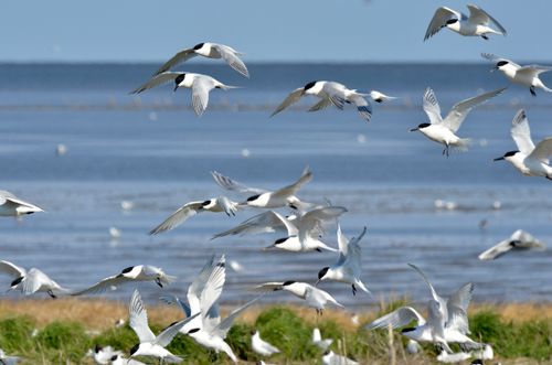 Stap in de Waddenexpress 1