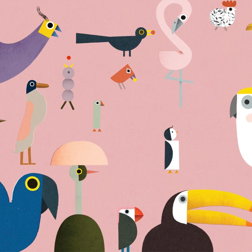 Vogelhuis Verhaaltjes (3+)