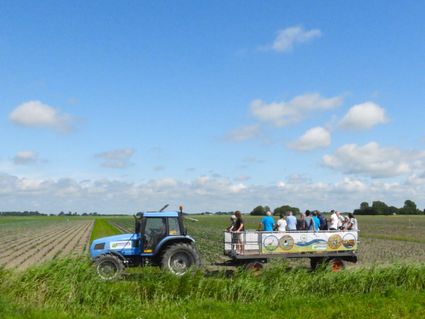 Op de excursiewagen het veld in