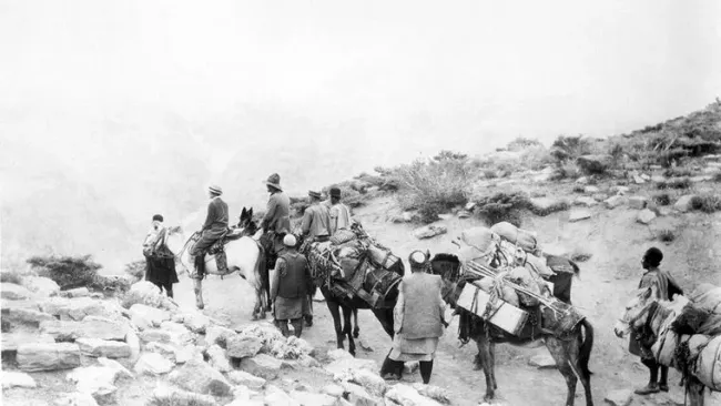 Grass (1925) with live music by Peyman Yazdanian