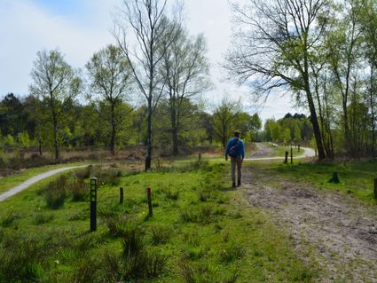 Herstwandeling Hoogeloon