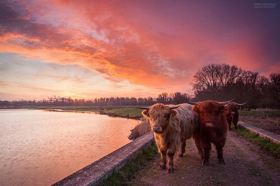 Een prachtige fietsroute door de Hoeksche Waard