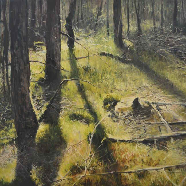 Jan Pieter Foppen, Lichtval in Veluws bos