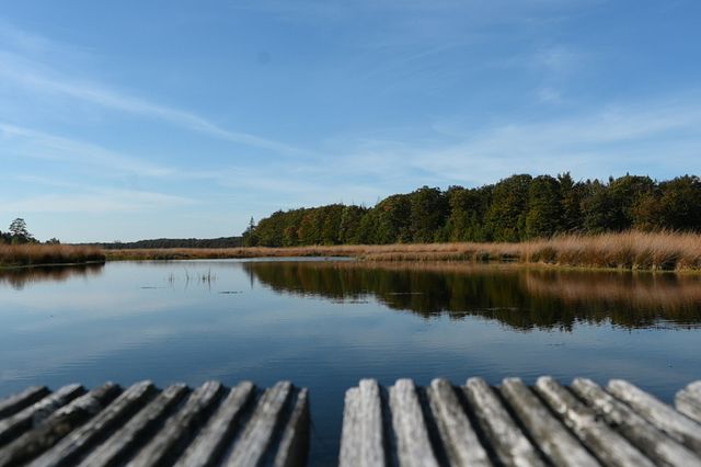 Der Bohlensteg an einem ruhigen, sonnigen Herbsttag im Grolloerveen