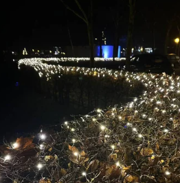 Lichtjes in heg