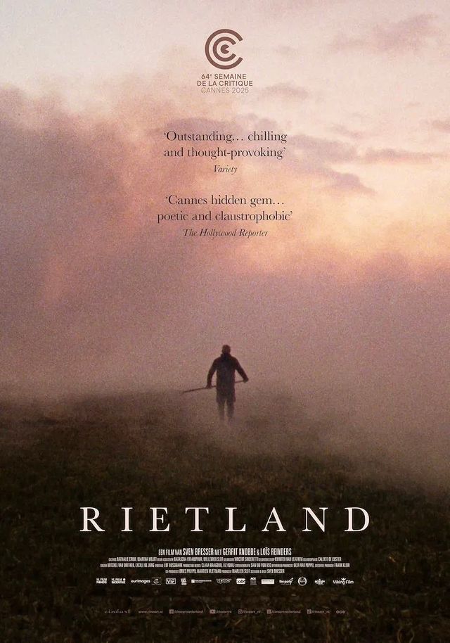 Poster Rietland