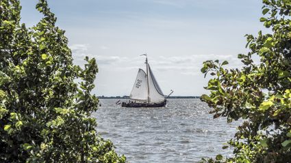 doorkijkje fluessen