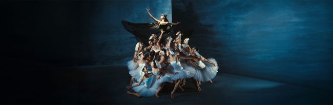 Introdans - Swan Lake