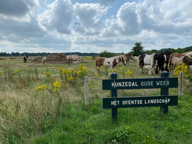 Hunzedal - Oude Weer