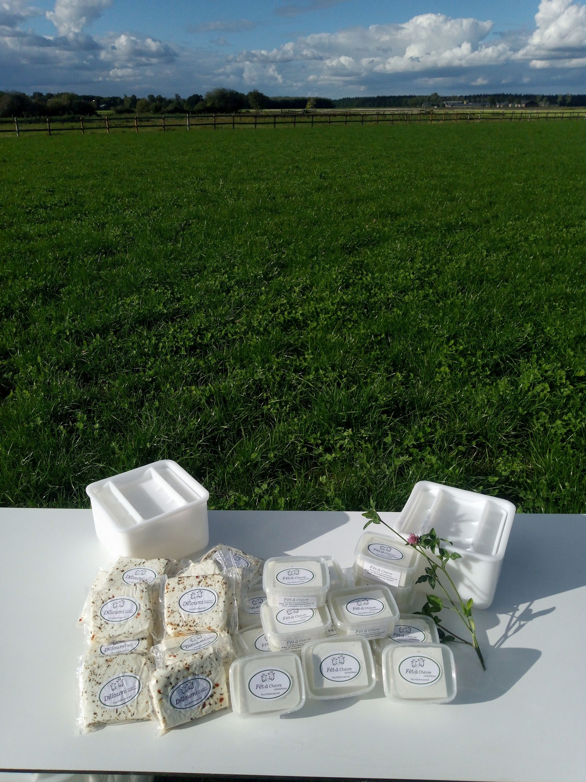 Geitenkaas producten van PuurGeitenzuivel