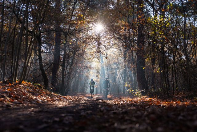 Mountainbikers op de mtb route in Waalre