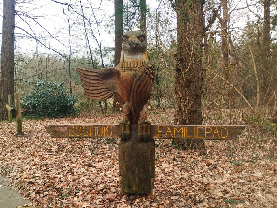 Familiepad Drents-Friese Wold