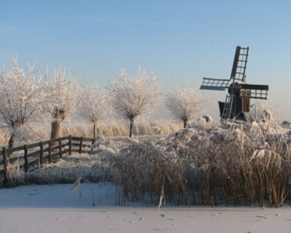 Winter in het veld