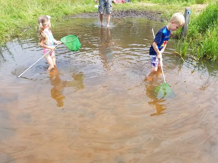 Waterdiertjes zoeken
