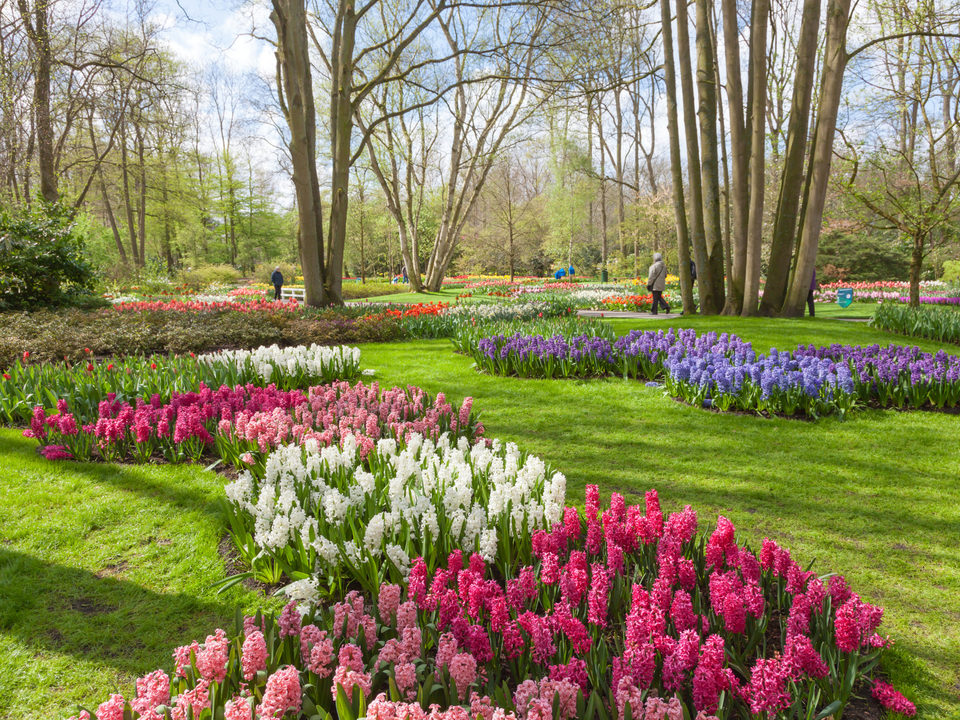 De tuin van de Keukenhof in Lisse
