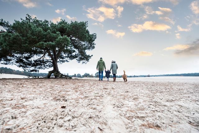 Twee volwassenen en een kind wandelend over de zandverstuiving in de Soesterduinen. Ze hebben jassen aan en wandelen langs een boom.
