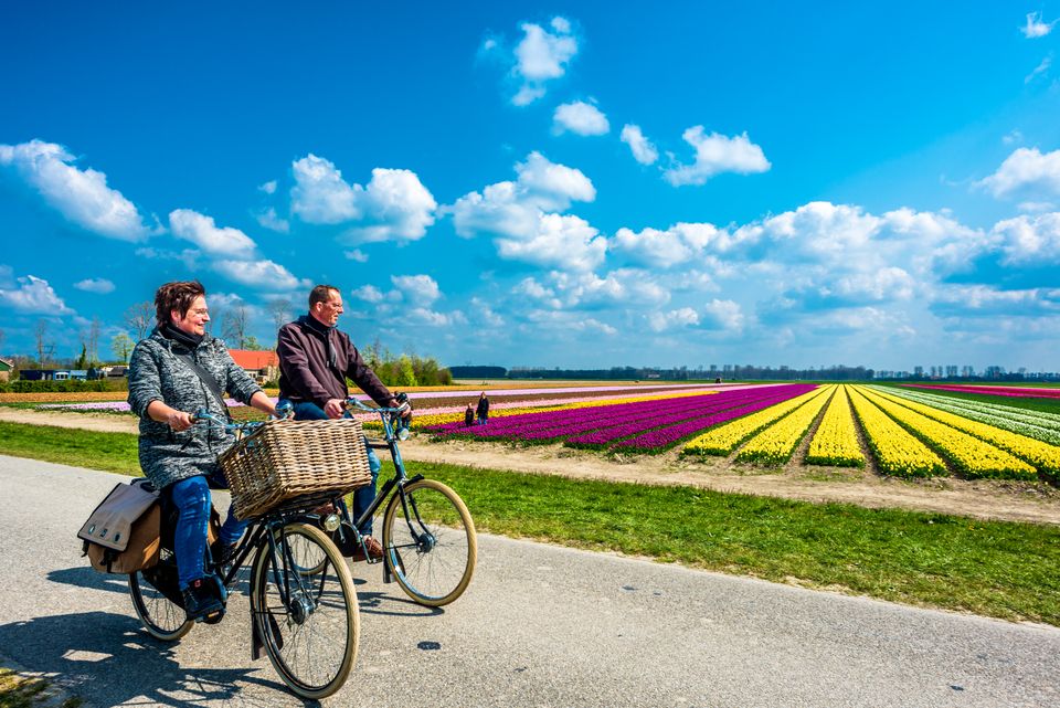Fietsen tussen de tulpenvelden
