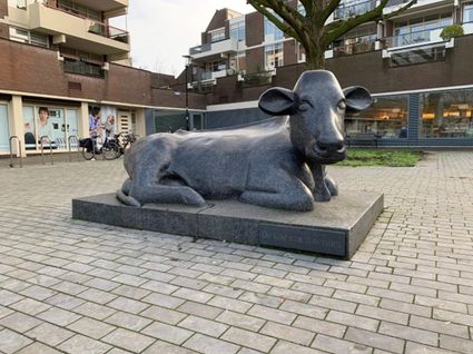 koe van woerden