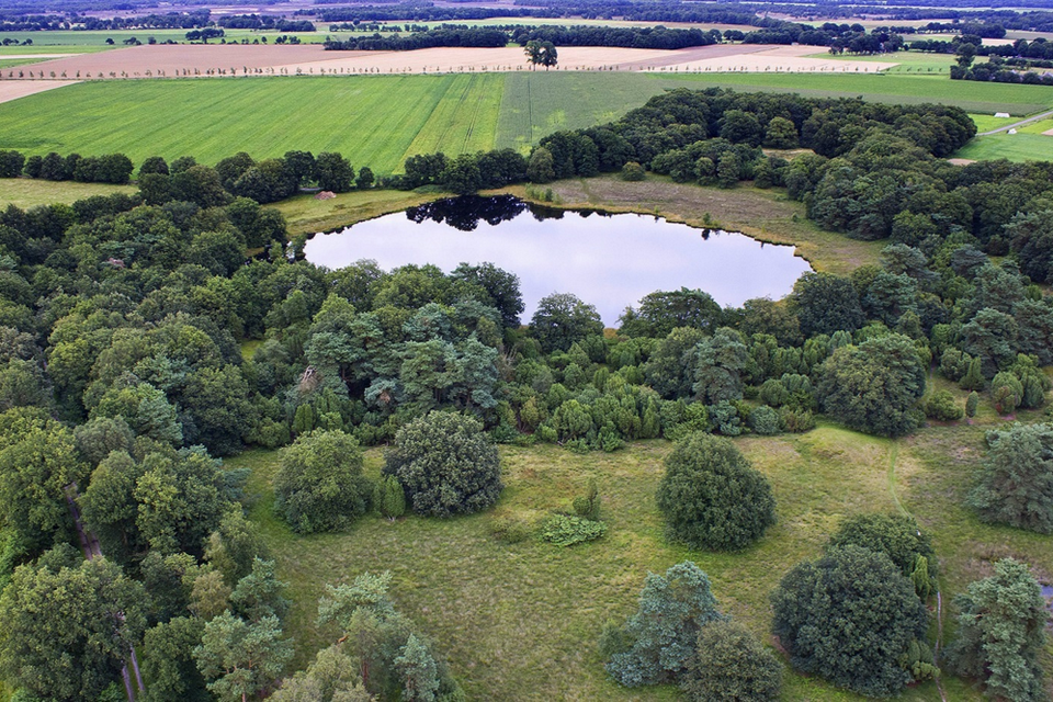 Een luchtfoto van water en bomen.