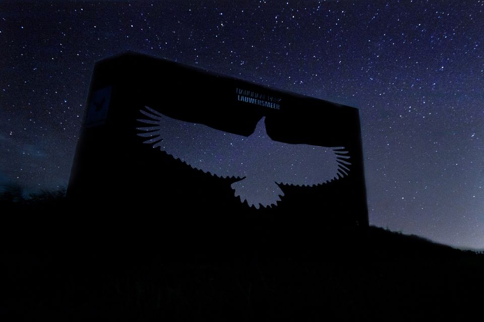 Vogels spotten langs Nationaal Park Lauwersmeer
