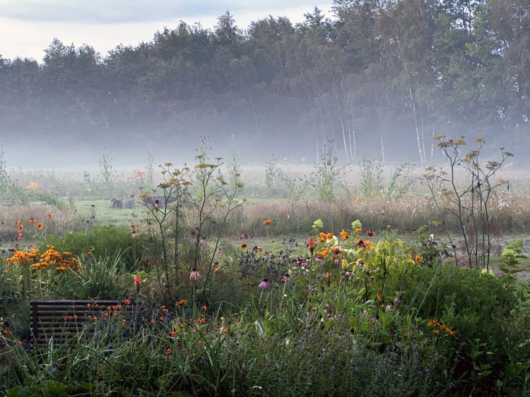 Sfeerfoto van een inspiratietuin