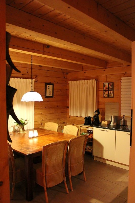 kitchen and dining area American Loghome