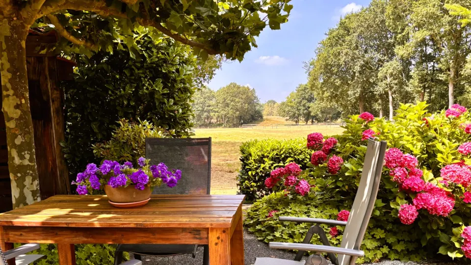 Uitzicht vanuit de tuin bij De Vertoeverij