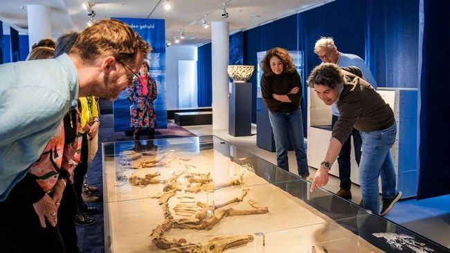 Groepsrondleiding in het Maastricht Museum