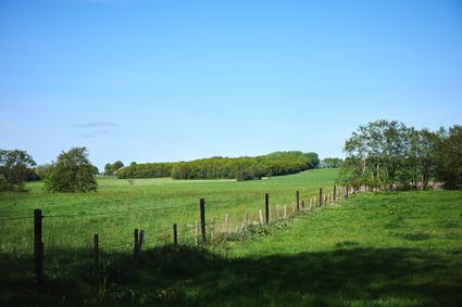 Glooiend Landschap Murnserdyk Gaasterland Friesland