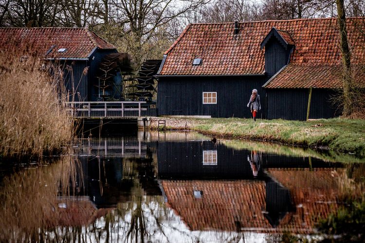 Collse watermolen in Van Gogh Nationaal Park