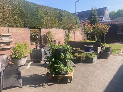 Henk Rooijakkers tuin