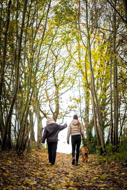 Twee wandelaars lopen over een bospad in Gaasterland in de herfst.