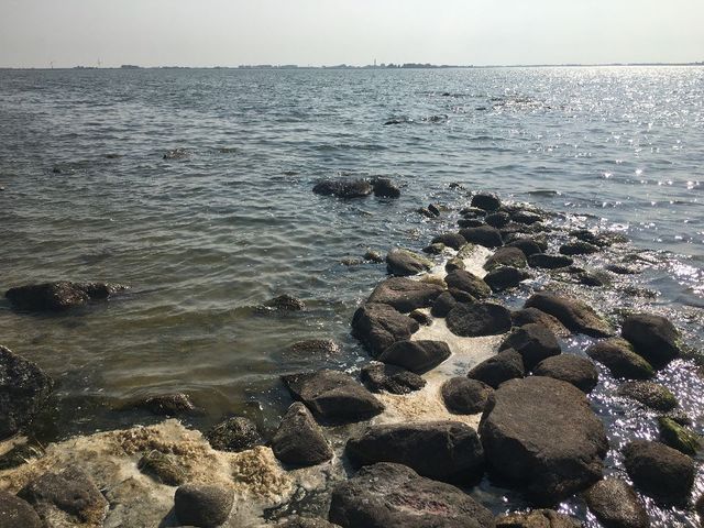 Schatkist van de Zuiderzee