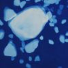 Anneke Savert, Peat Stories part one (detail), 2024, cyanotype
