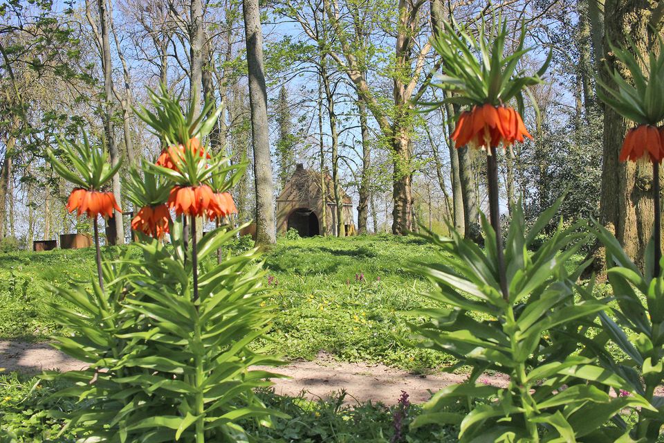 Keizerskroon in Park Jongemastate