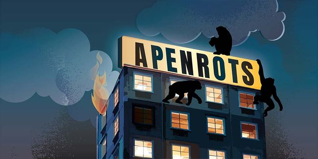 De Vrijstaat: Apenrots (8+)