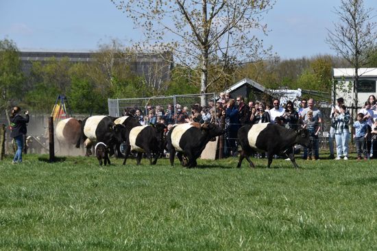 foto: Van t' Zandeind Riel